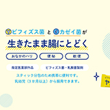 ヤクルト ヤクルトBL整腸薬ブランドサイト